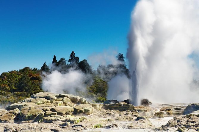 Rotorua Geothermal Tours